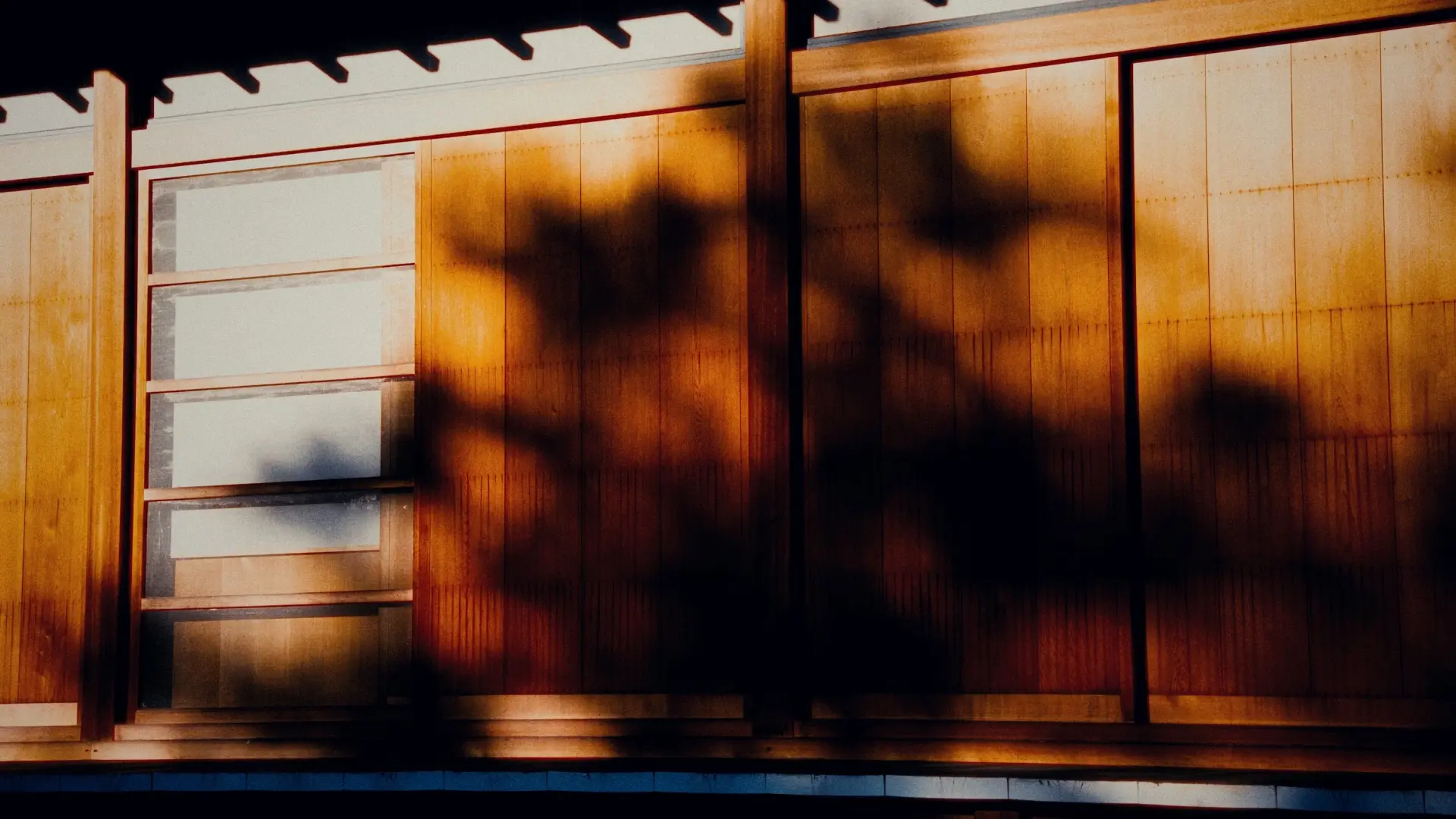 Late afternoon sunlight casting tree shadows across the warm wooden facade of a ryokan