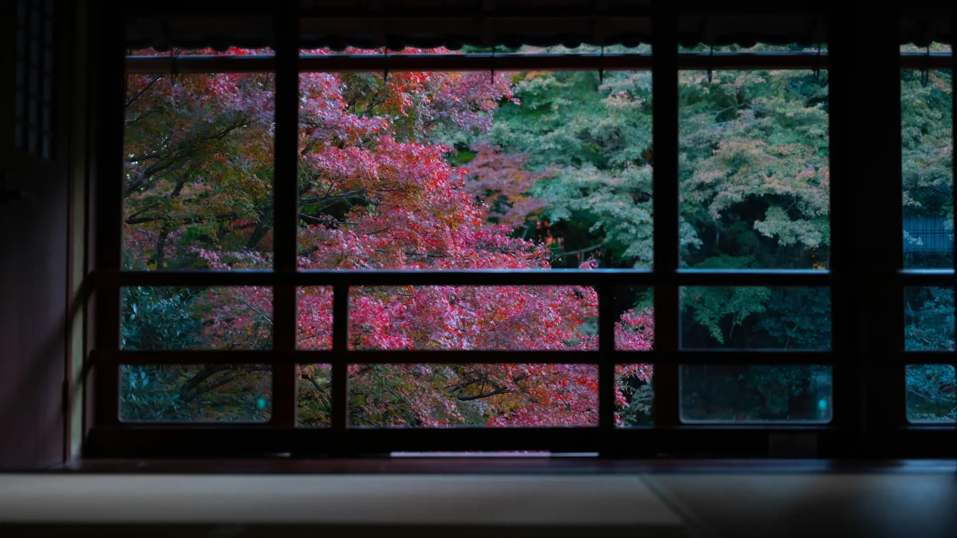 Shun: Sense of Place and Seasonality