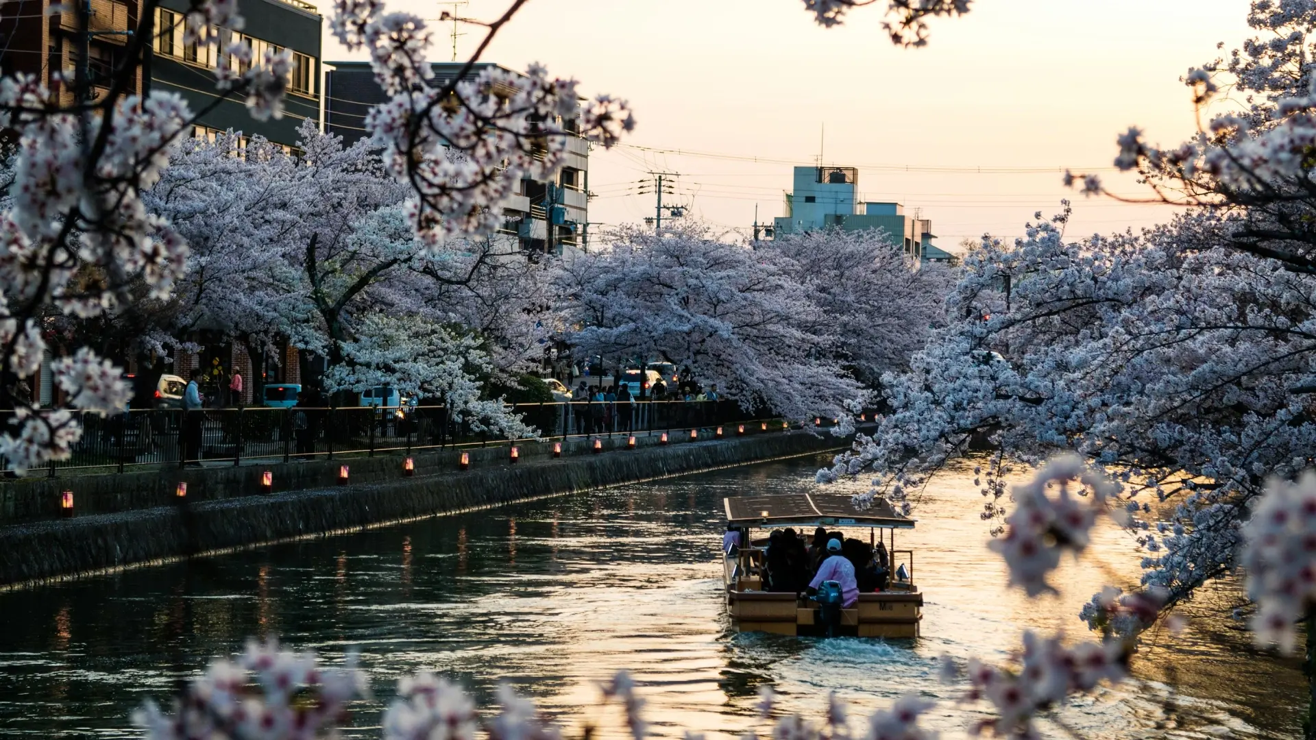 The Golden Route: Tokyo, Hakone, and Kyoto with Ryokan Stays