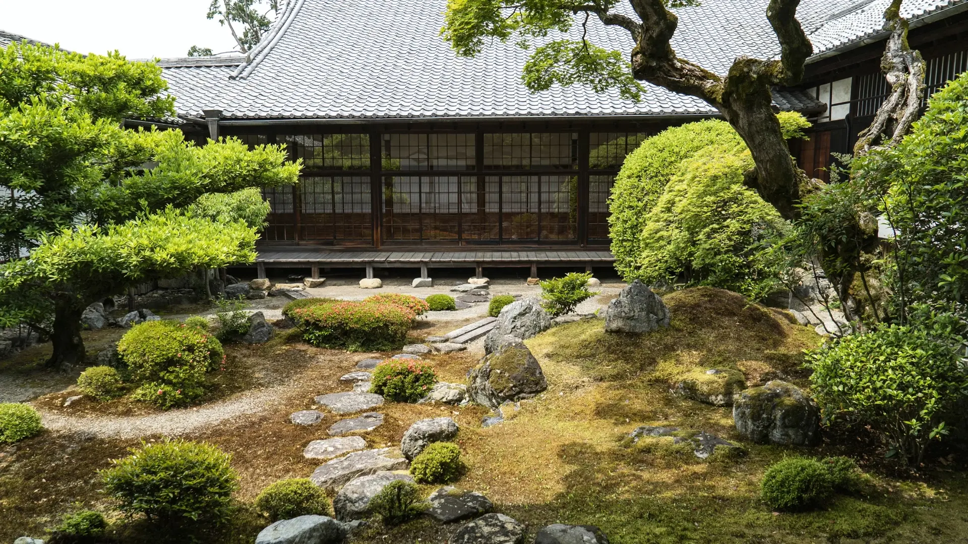 A traditional Japanese stroll garden with sculpted pines, moss, and placed stones in front of a dark-timbered temple building