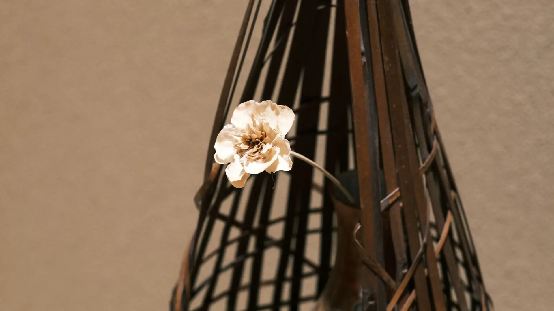 Close-up of a single delicate flower resting on a woven bamboo basket sculpture