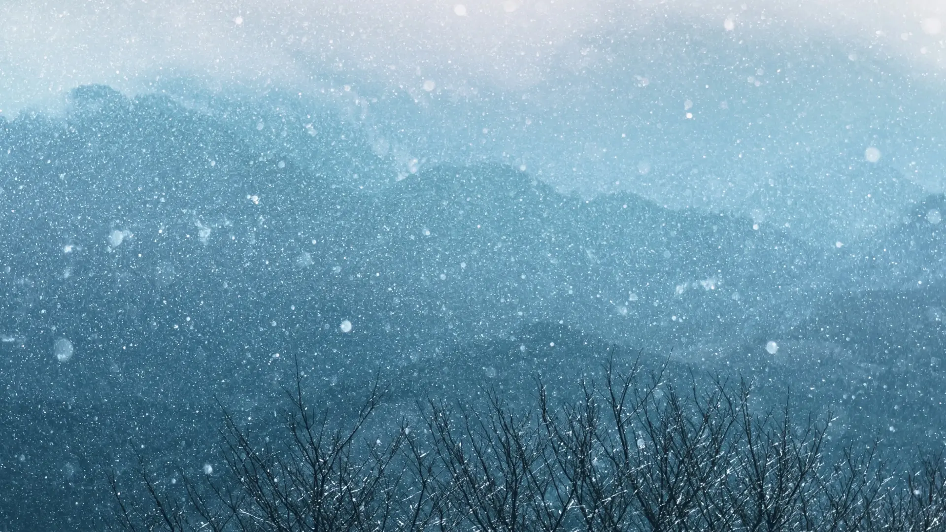 Snow Country: Ryokans in Japan's Deep North