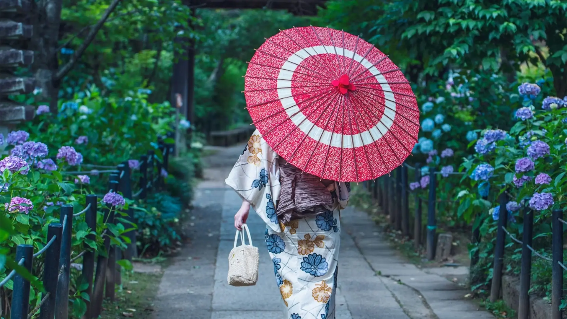 Woman in a floral yukata walking under a red wagasa umbrella along a stone path bordered by blooming hydrangeas