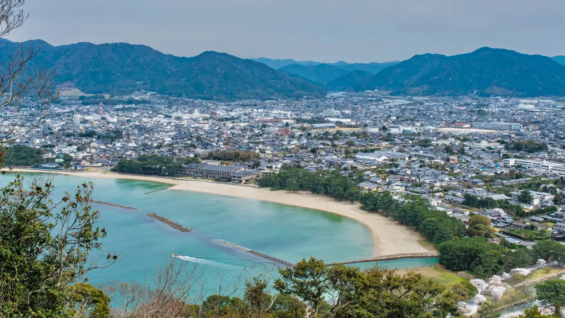 Hagi
