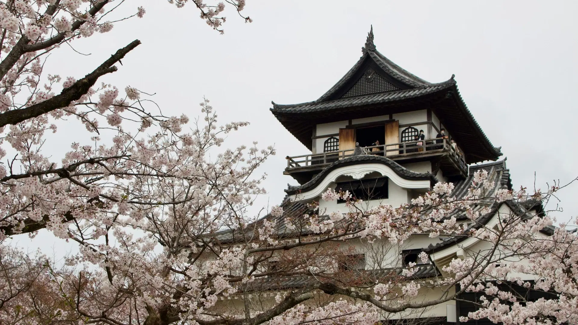 Inuyama