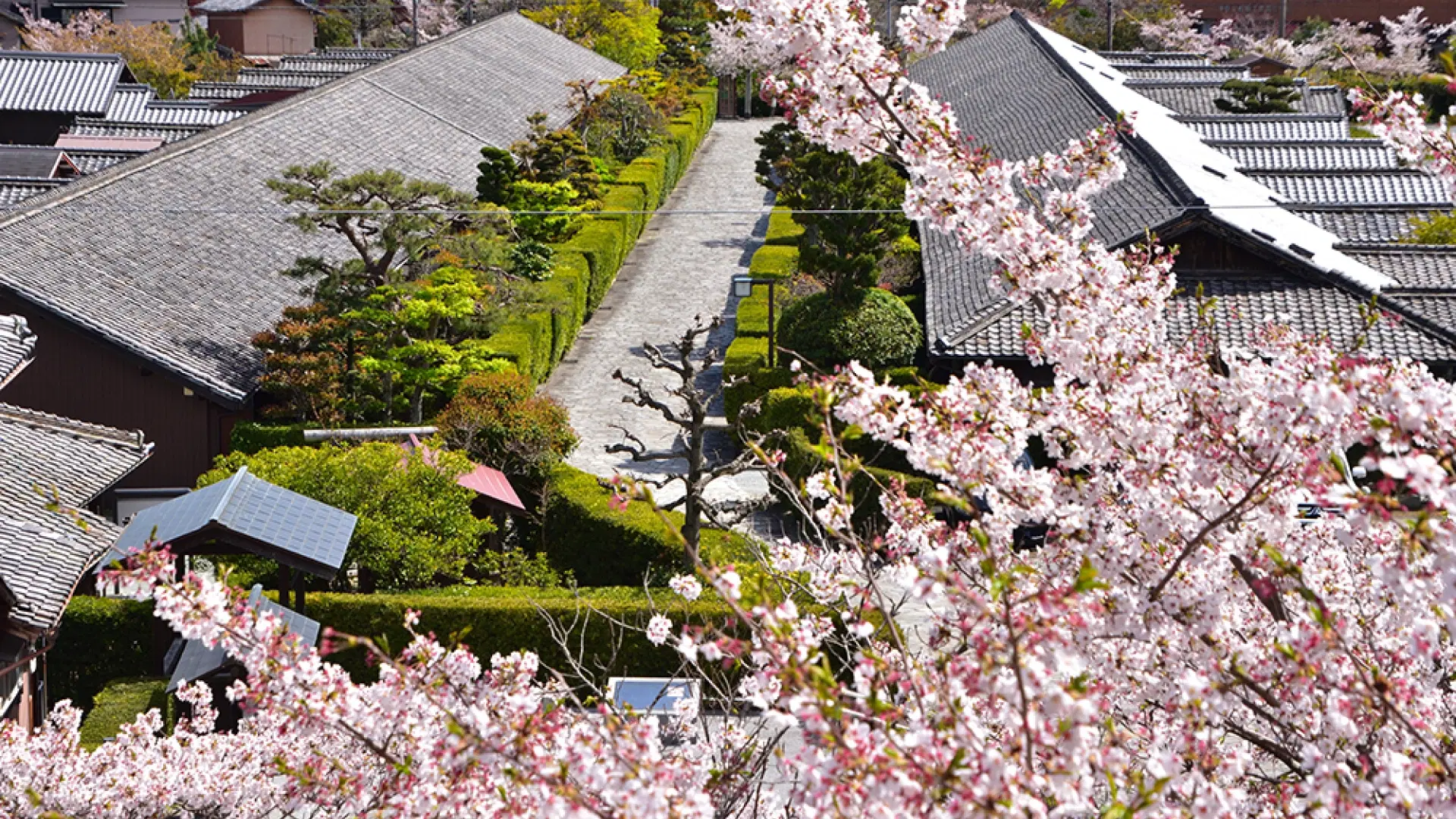Matsusaka