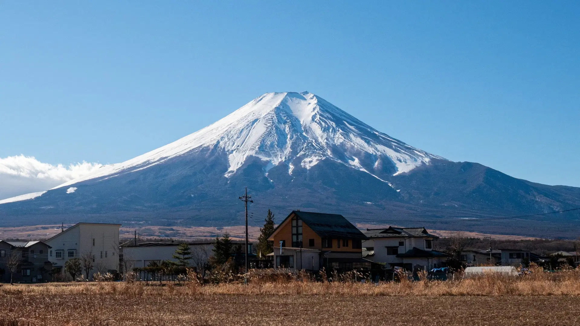 Shizuoka City