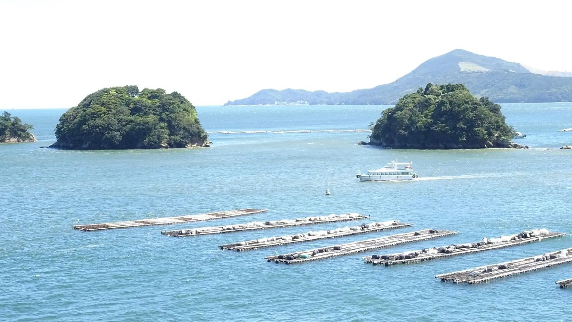 Toba