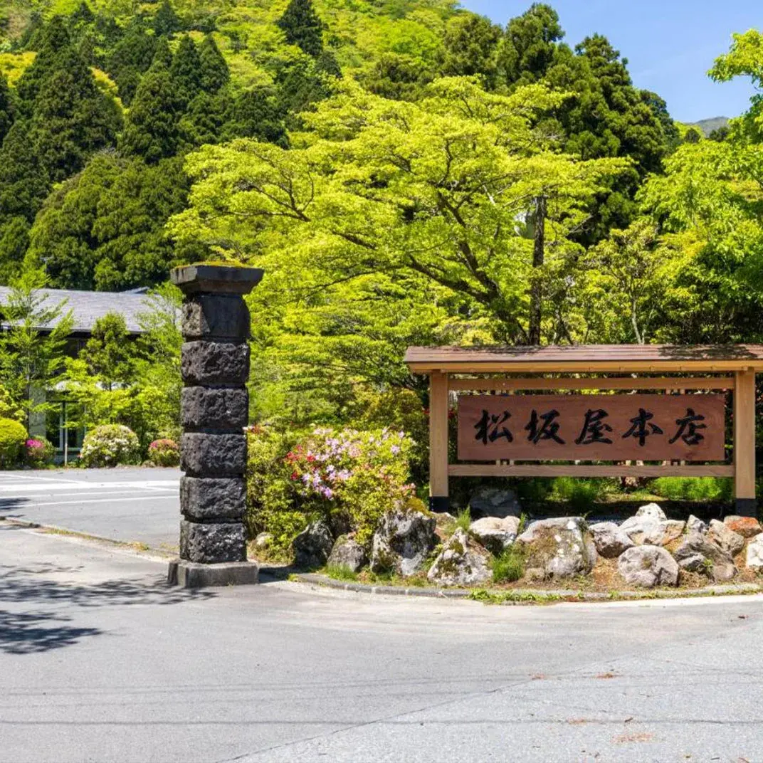 Matsuzakaya Honten entrance stone sign flanked by summer forest in Ashinoyu Hakone