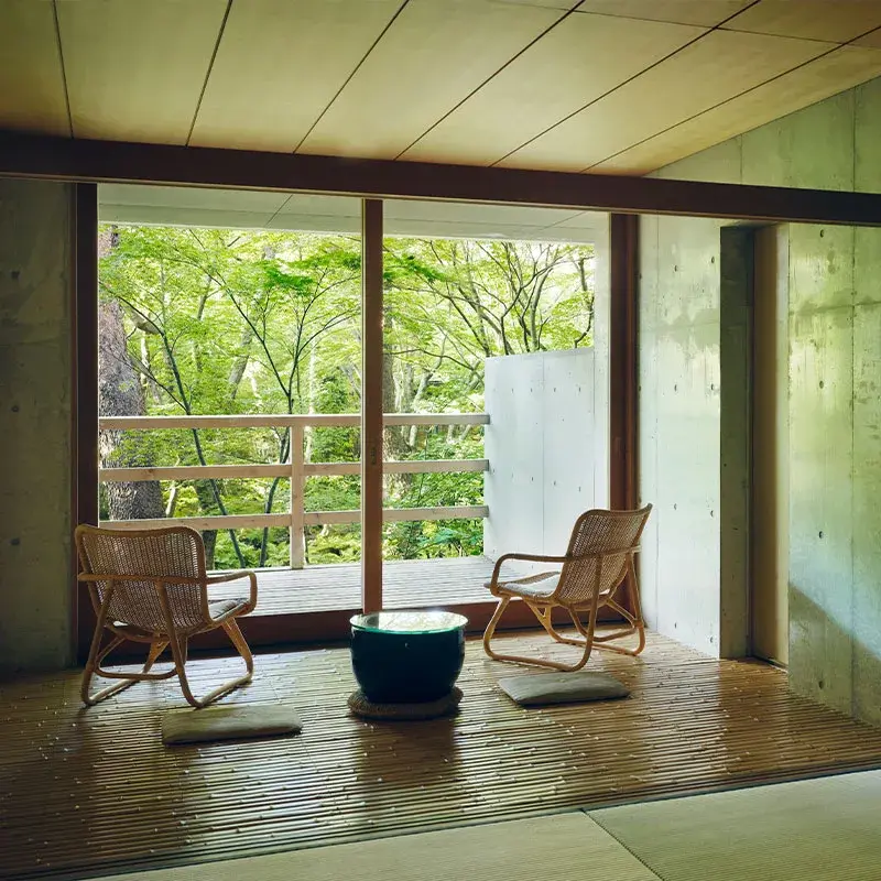 Rattan chairs on tatami facing open deck and summer maple canopy