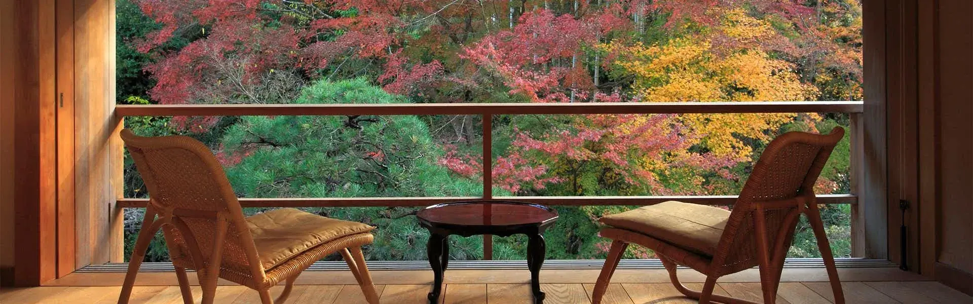 Rattan chairs facing autumn foliage through Asaba's full-width veranda window in Shuzenji