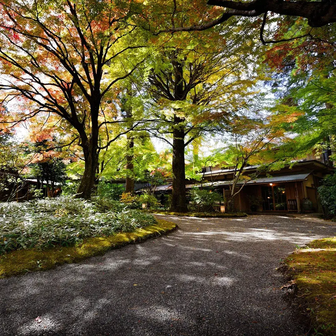 Stone path through Kamenoi Besso's cedar and zelkova garden in autumn