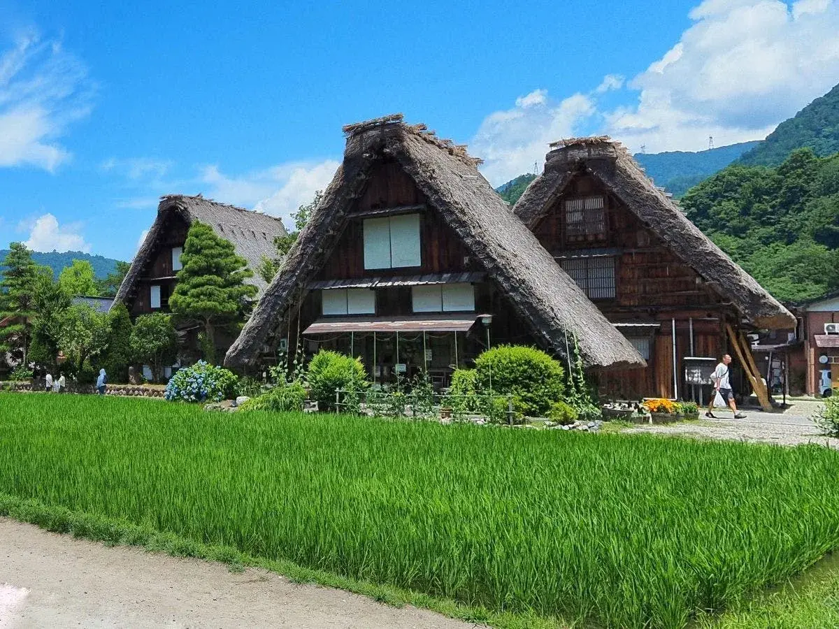 Gassho-zukuri thatched farmhouses surrounding Kyoya in the Japanese Alps