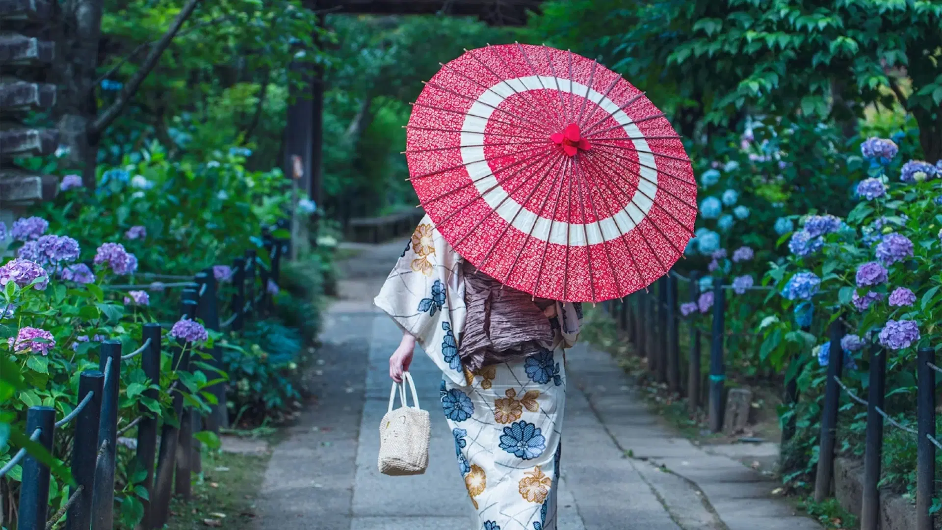 Woman in a floral yukata walking under a red wagasa umbrella along a stone path bordered by blooming hydrangeas