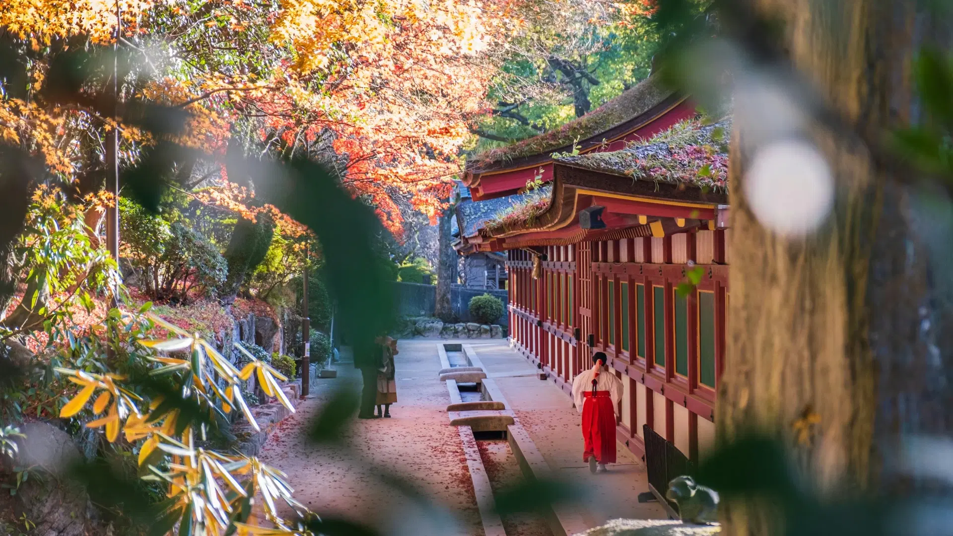 Dazaifu