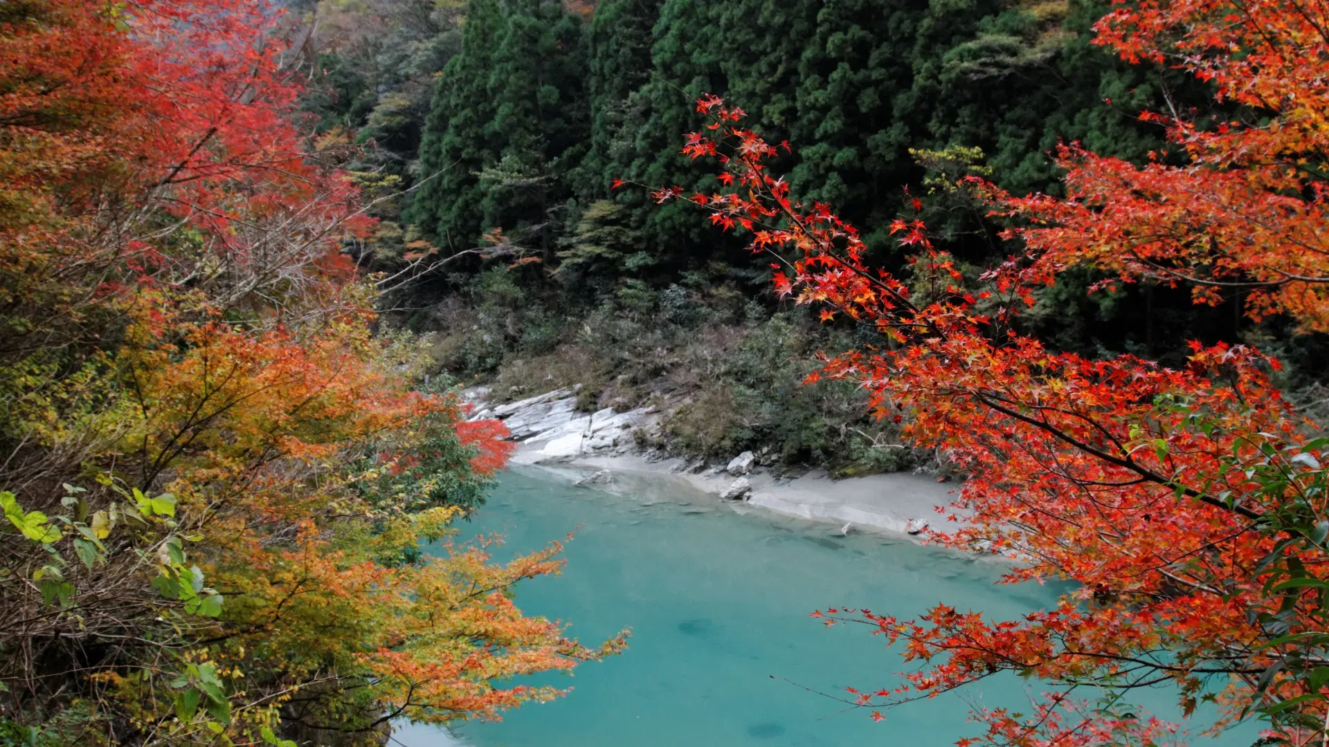 Miyoshi