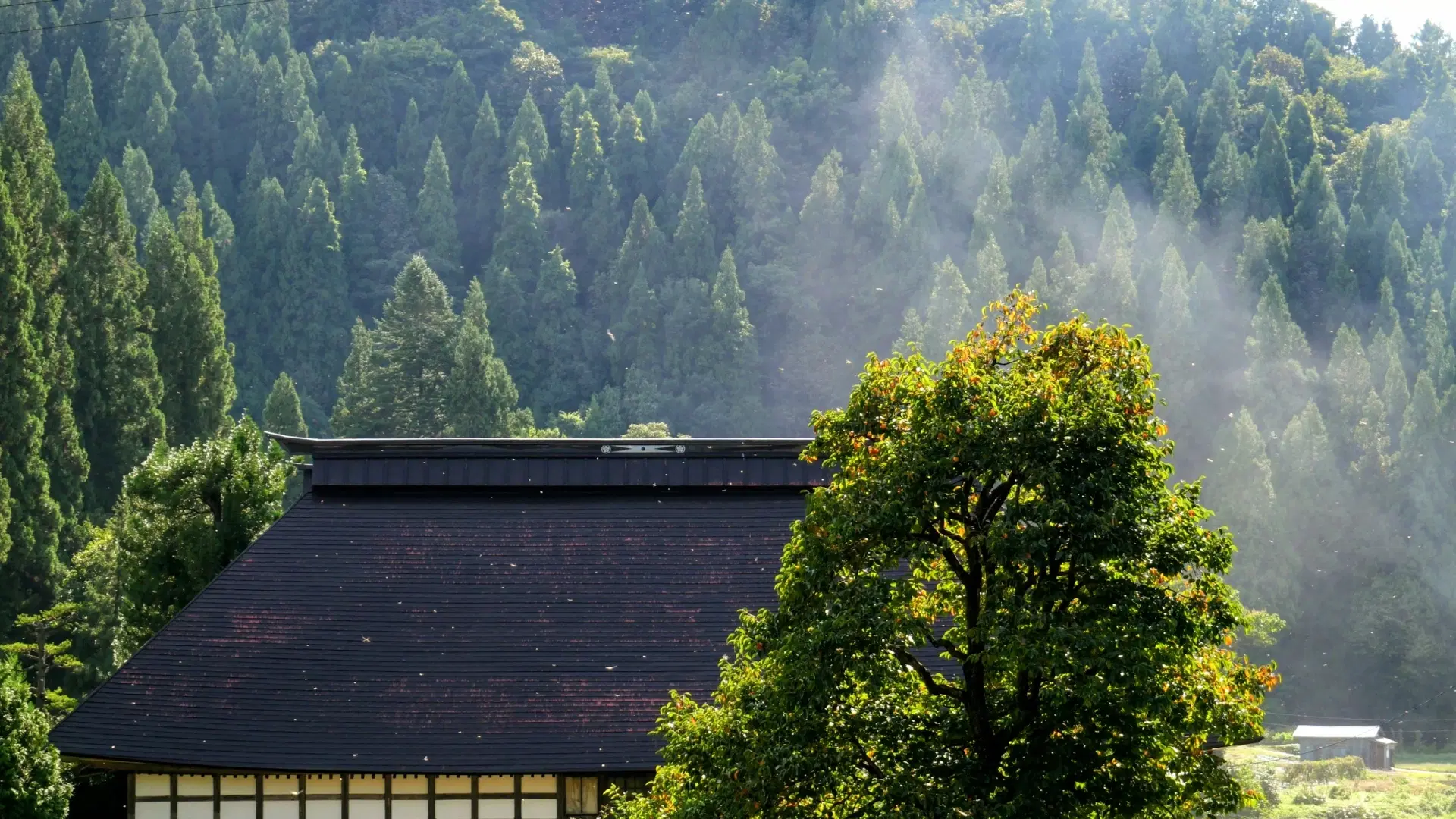 Nozawa Onsen