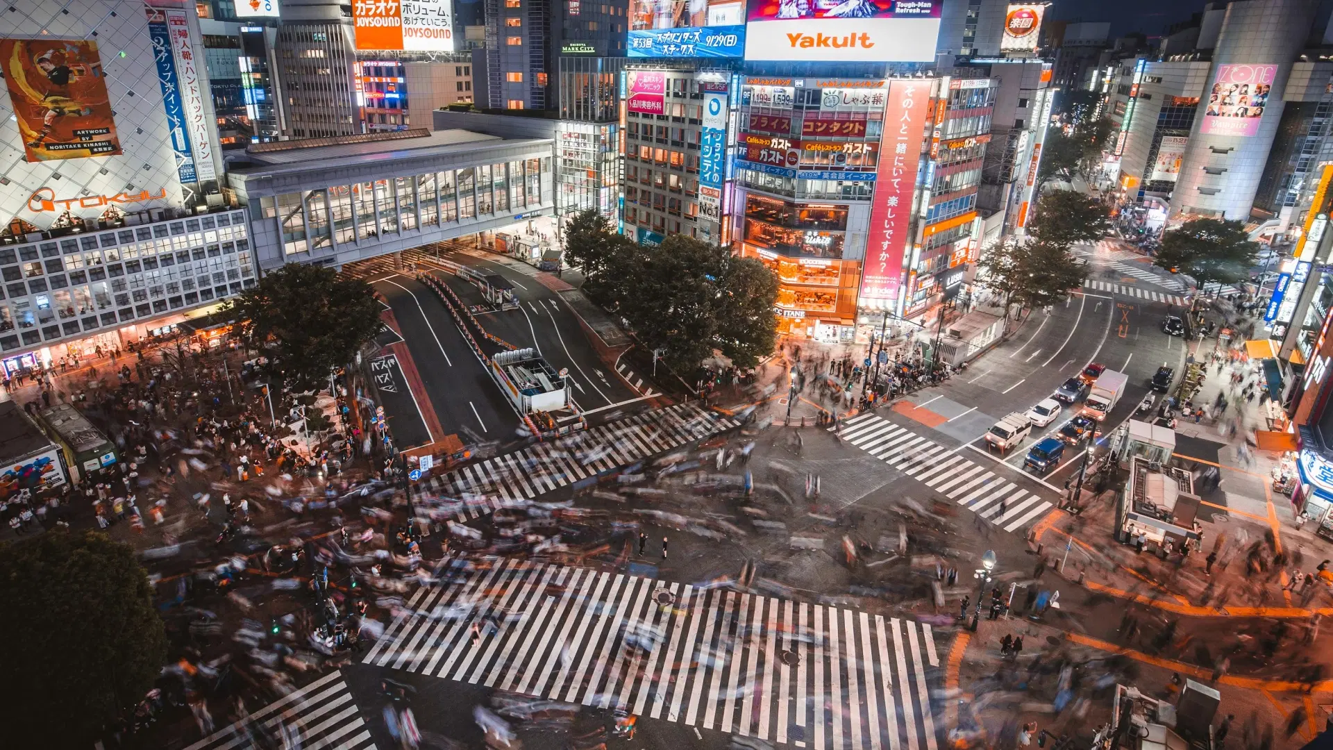 Shibuya & Shinjuku