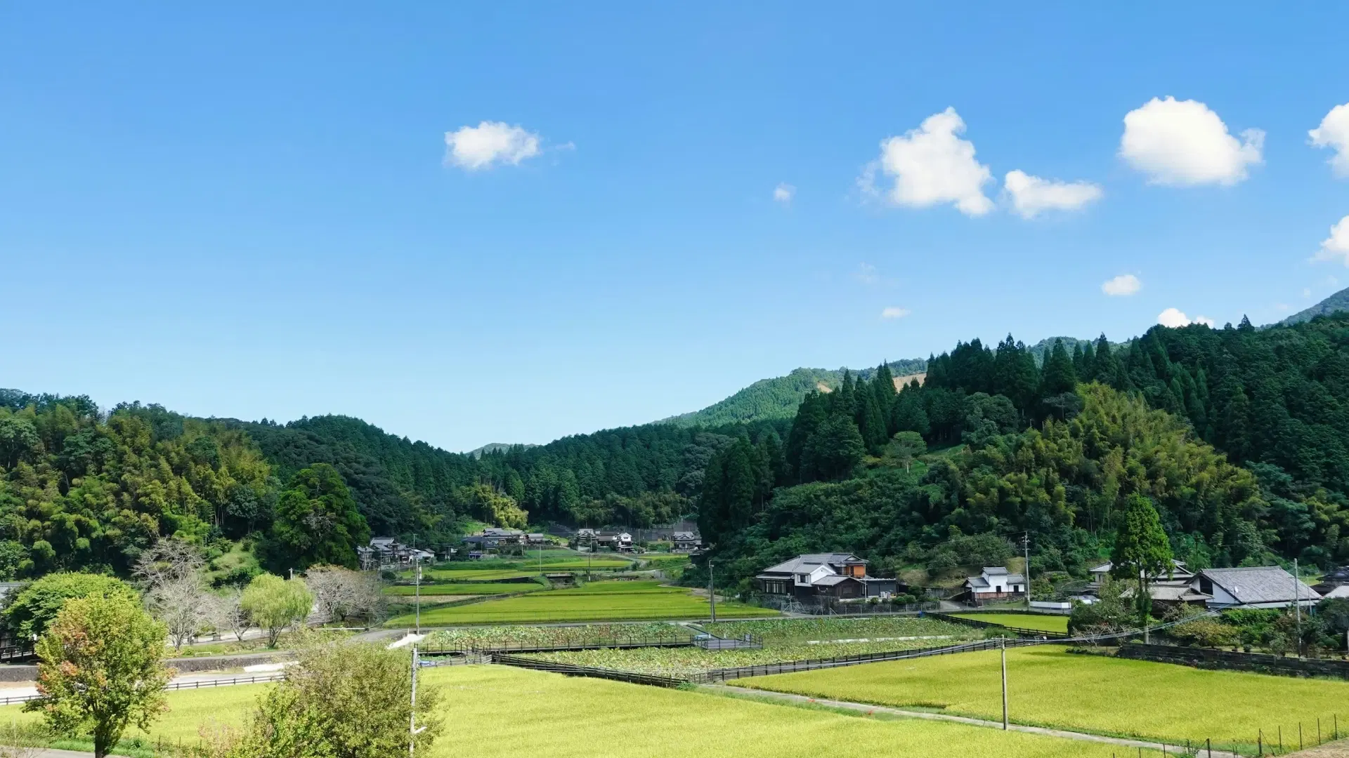 Usuki