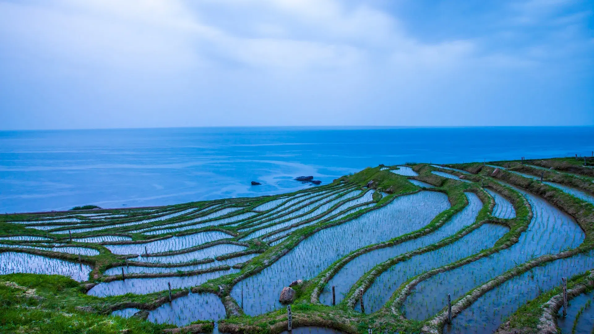 Wajima