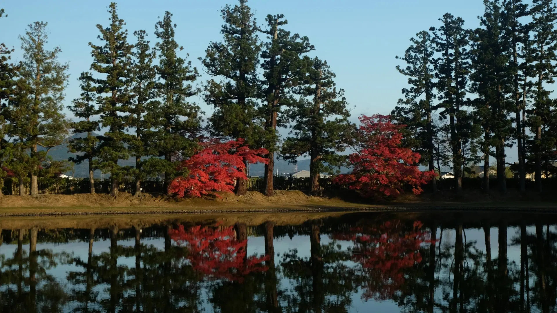 Iwate