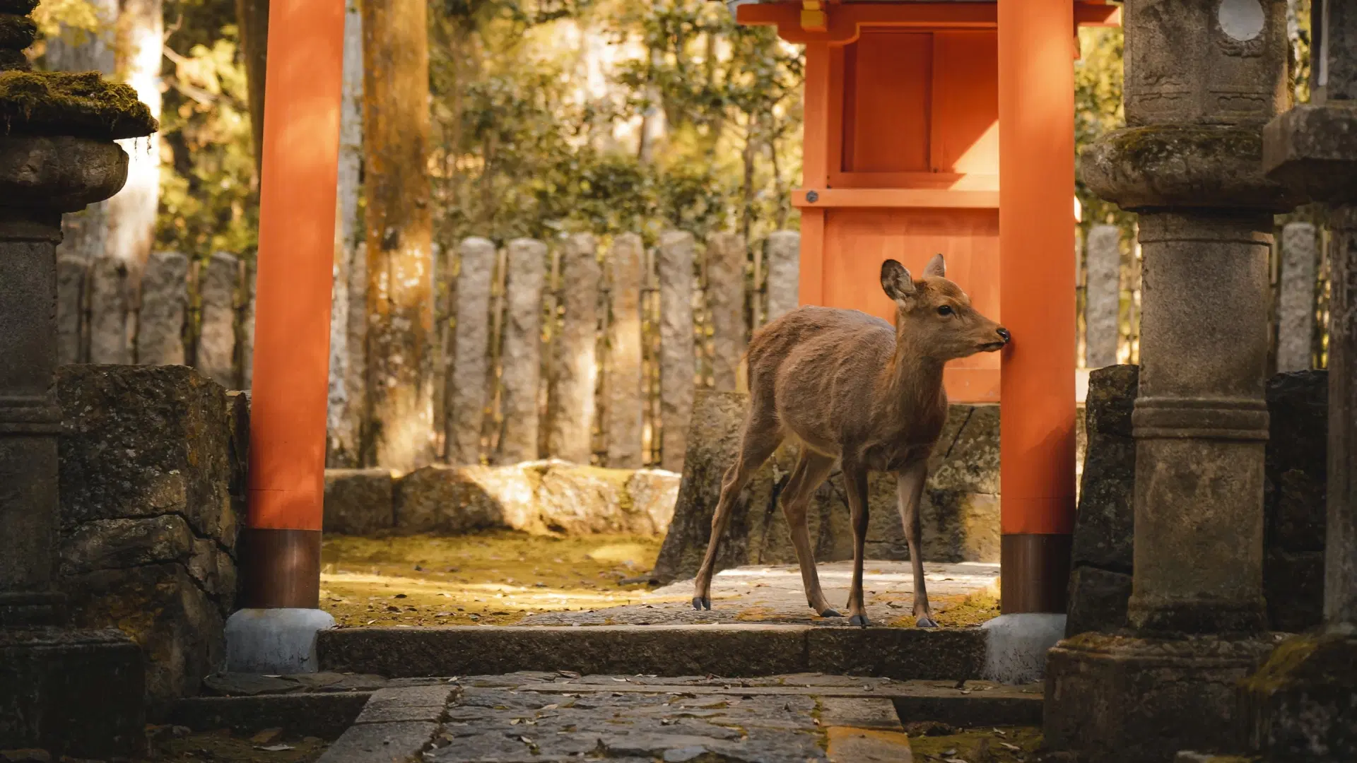 Nara