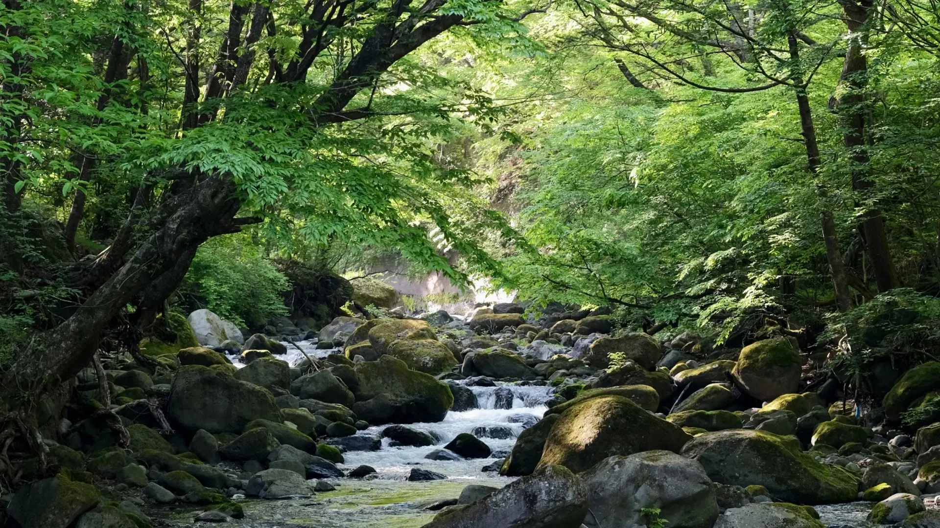 Tochigi